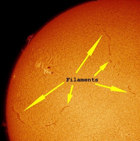 Solar Filaments + H-alpha