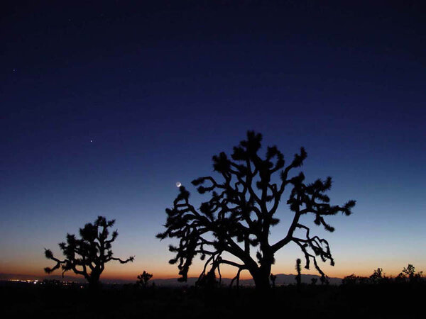 High Desert Twilight