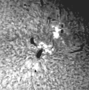 Ηλιακή Χρωμόσφαιρα στις 9 Μαρτίου 2004