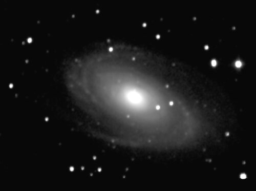 m81