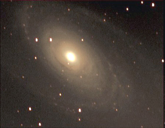 M 81