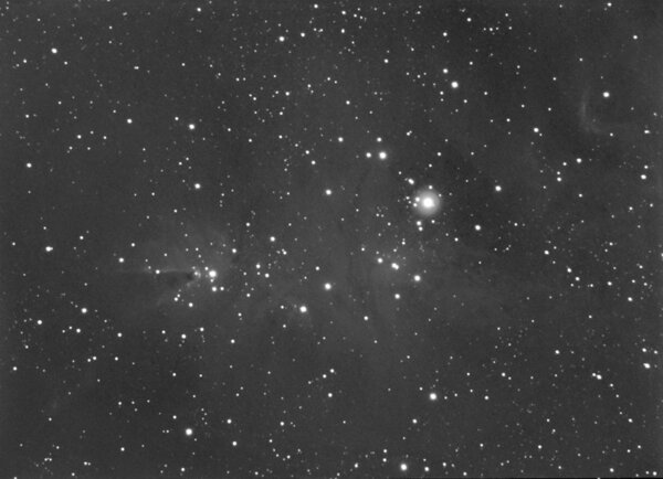 NGC2264 Ha