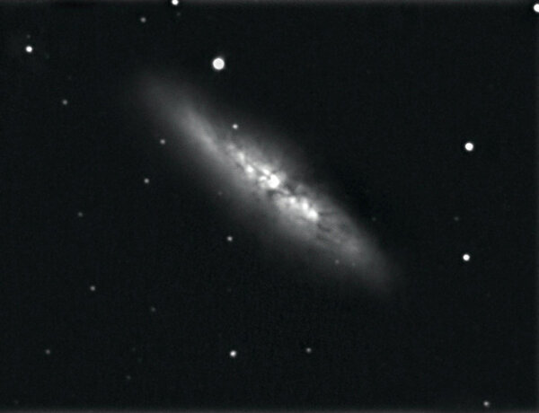 M 82