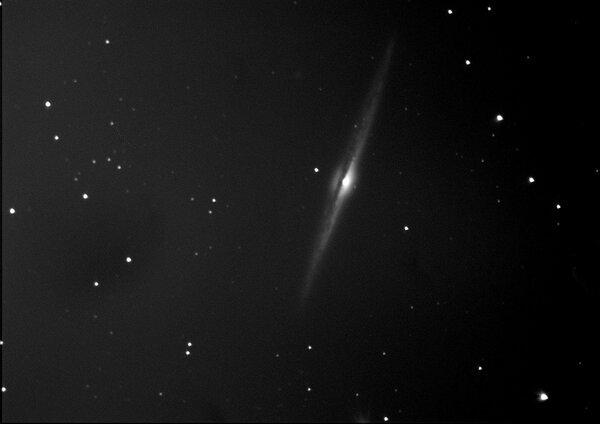 NGC4565