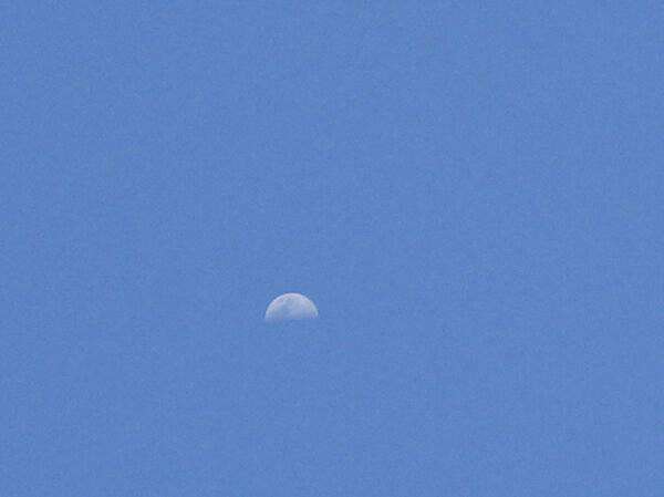 Beautiful Moon at Day...