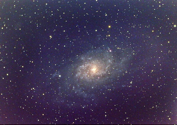 M 33 (Τriangulum galaxy)