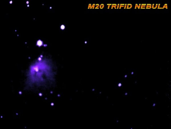 TRIFID