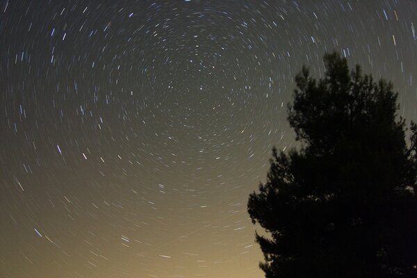 Startrails around northern star