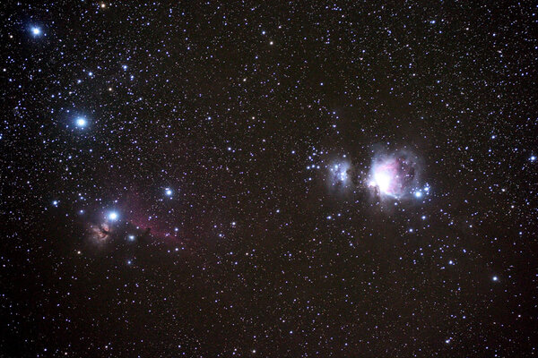 Orion Wide Field