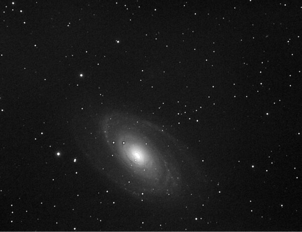 M81