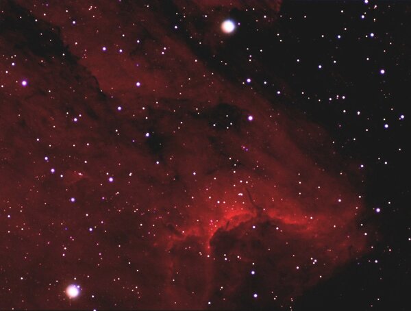 IC 5067(The Pelican neb.)