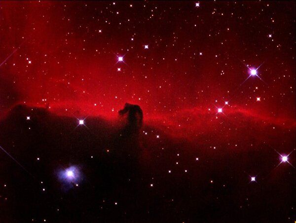 The horsehead neb.