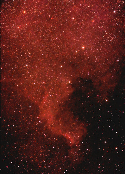 NGC 7000