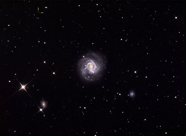 M61