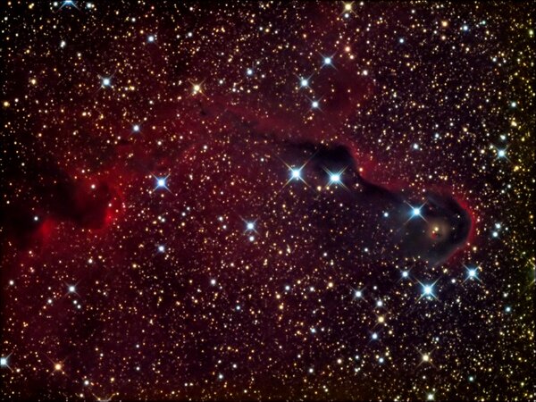 IC 1396A Elephant Trunk Nebula in Cep LRGB 1200x900