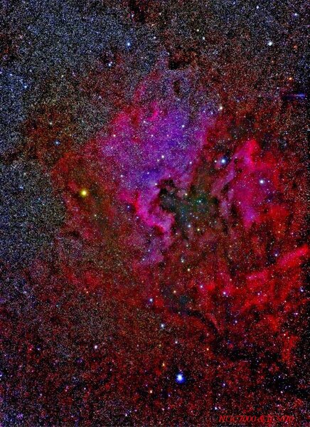NGC 7000 & IC 5070