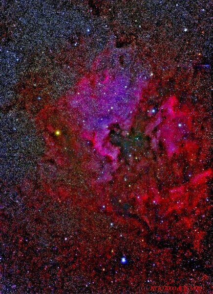 NGC7000 & IC5070