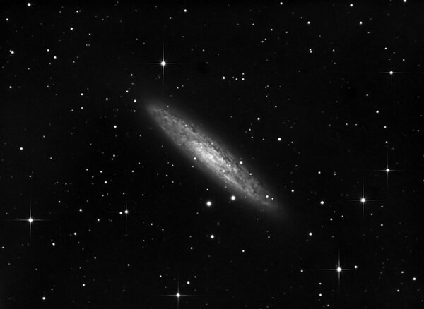 Silver Dollar Galaxy - NGC253