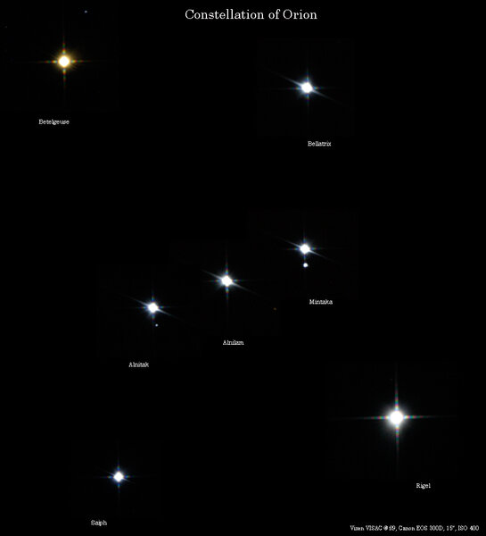 Orion stars