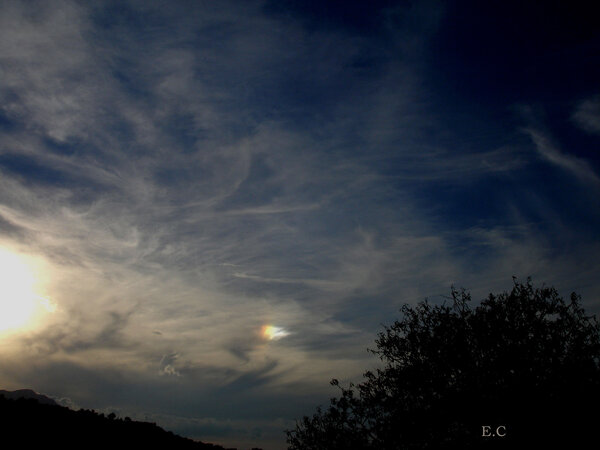 samos sundog