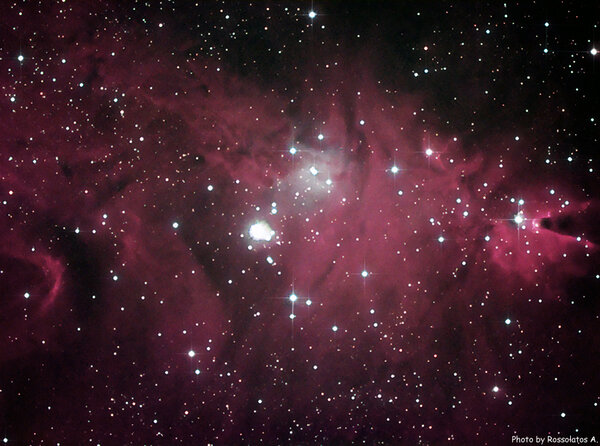 Christmas Tree Cluster - Cone Nebula