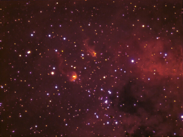 IC 410 - Tadpoles