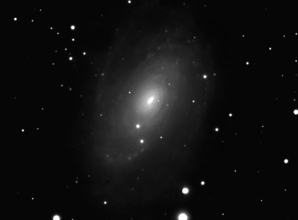 M 81