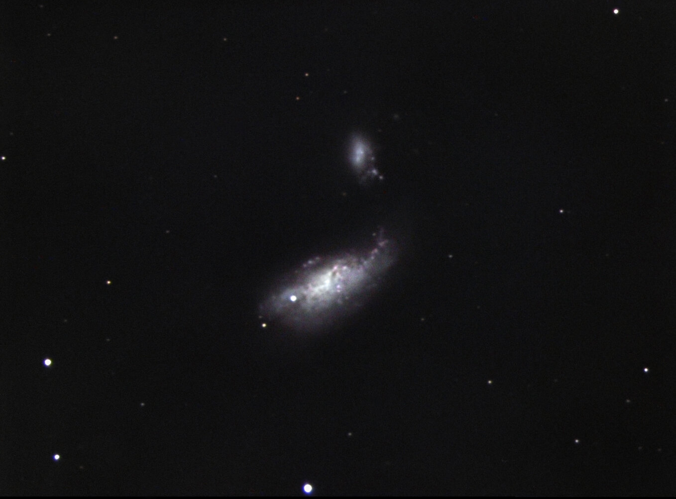 Cocoon galaxy and supernova 2008AX