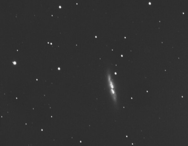 M82