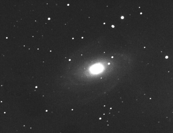 M81