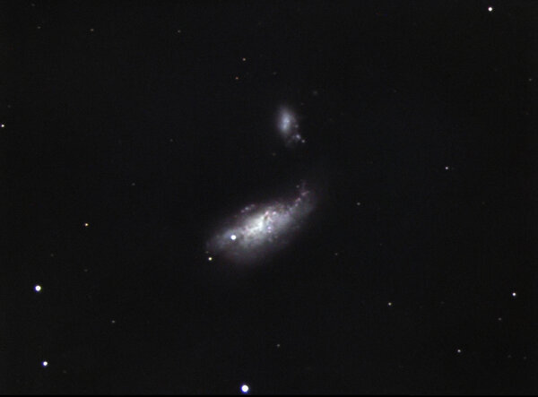 Cocoon galaxy and supernova 2008AX