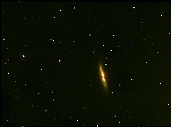 M82