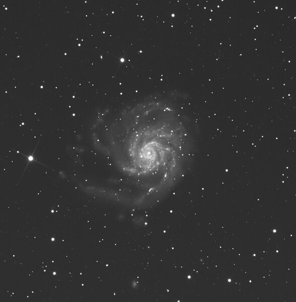 m101(L)Crop