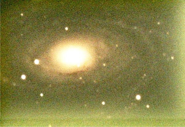 m81