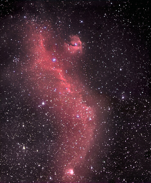IC 2177(Seagull nebula) - Ced 90