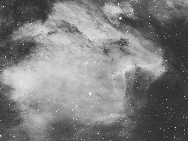 ic5070 Pelican Nebula- crop