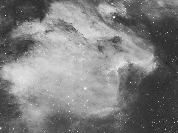 ic5070 Pelican Nebula- crop