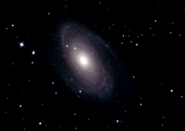 M81