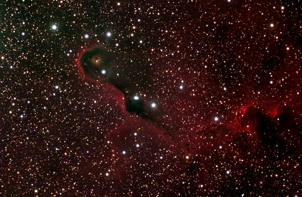 IC1396 (Elephant Trunk)