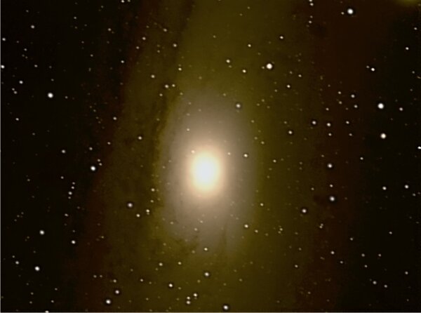 M31