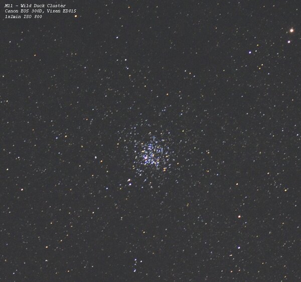 M11 - Wild Duck Cluster