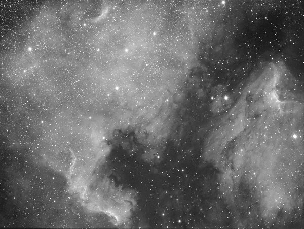 NGC 7000. North American nebula