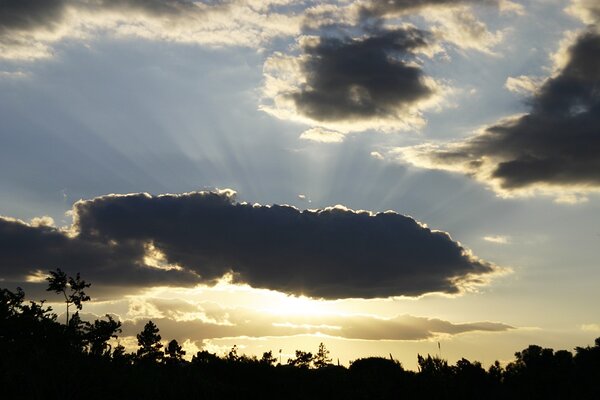 Crepuscular rays