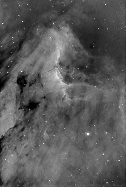 IC 5070 Pelikan Nebula