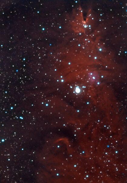 CONE NEBULA