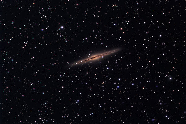 NGC 891