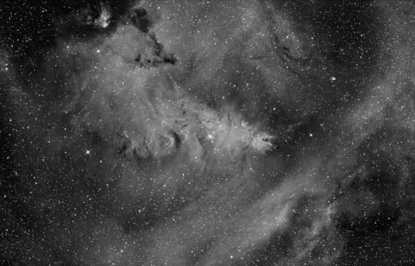 Περισσότερες πληροφορίες για το "NGC2264 - Christmas Tree Cluster/Cone Nebula/Foxfur Nebula"
