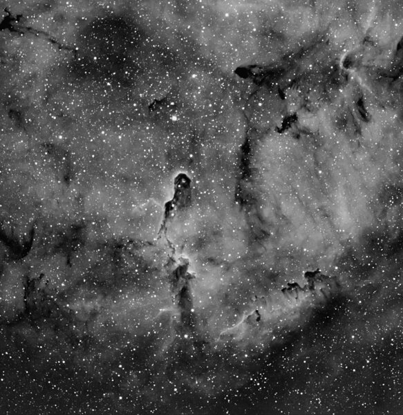 IC1396 and the Elephant Trunk Nebula (vdb142)
