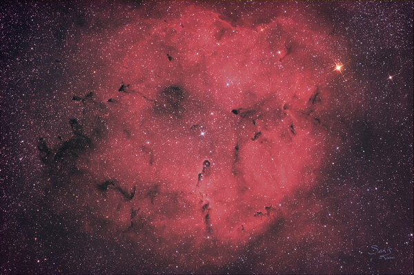 IC1396 and the Elephant Trunk Nebula (vdb142)
