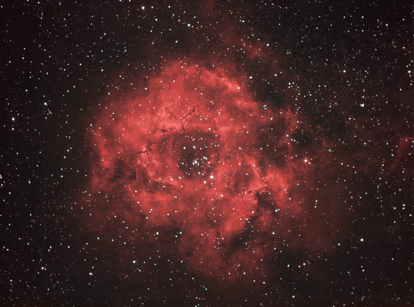 Rosette nebula. Reprocessed image